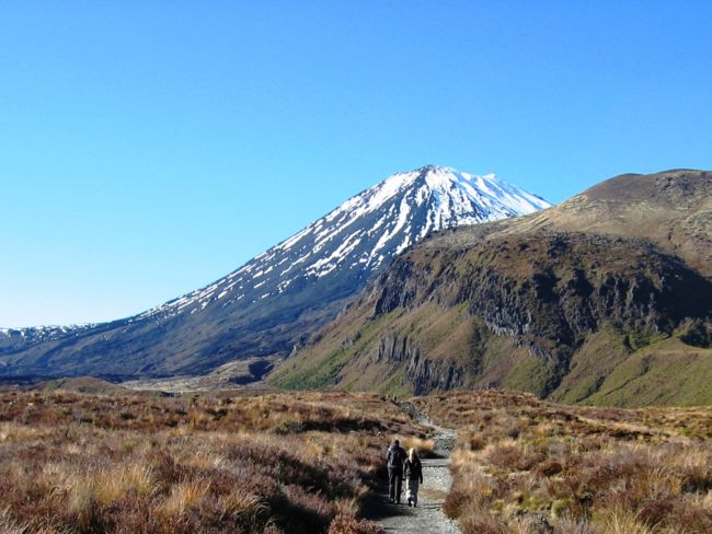 Top Hikes in New Zealand